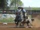 Campereada de Alegrete