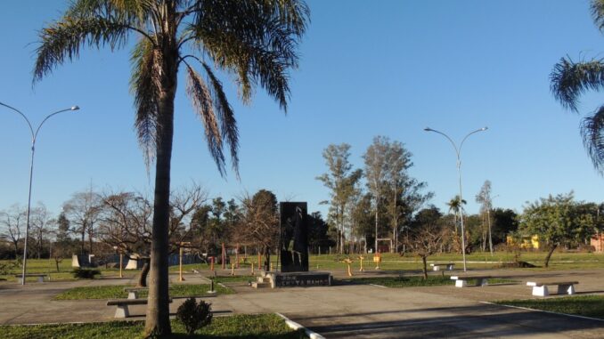 DSCN5167