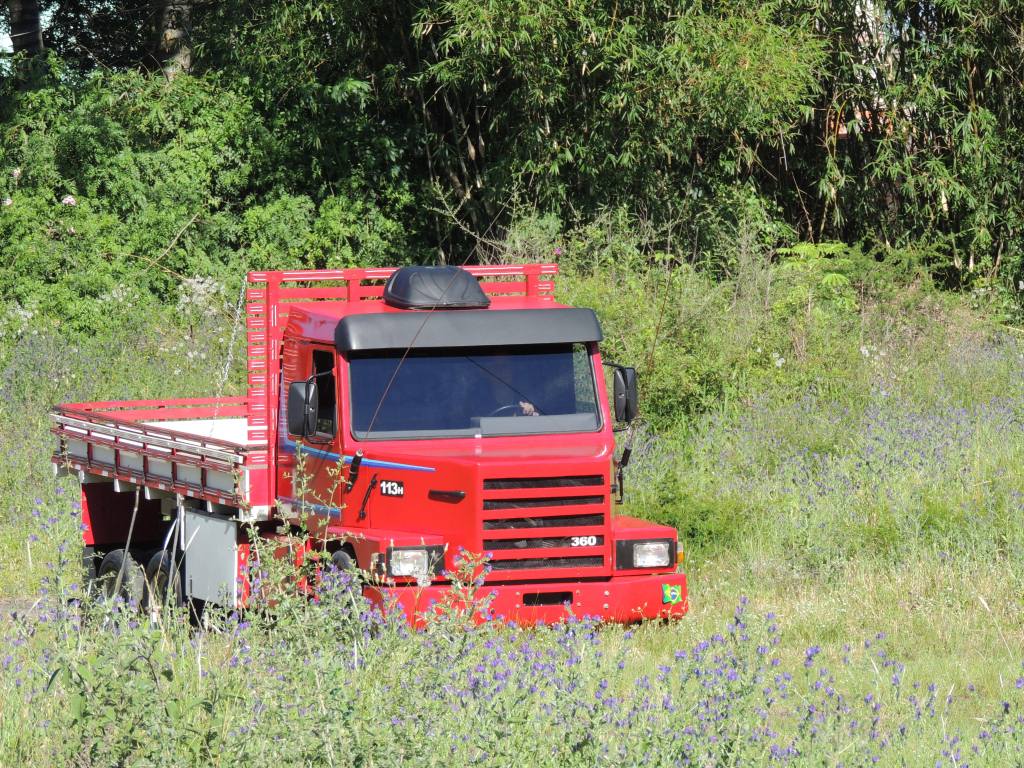 Alegretense cria um caminhão de brinquedo e faz sucesso com réplica de uma  Scania - Alegrete Tudo