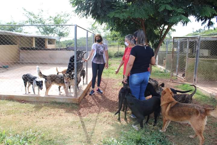 Grupo de Apoio à Adoção- Alegrete