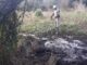 Cavalo atado, caido ao chão e agonizando na lama fria