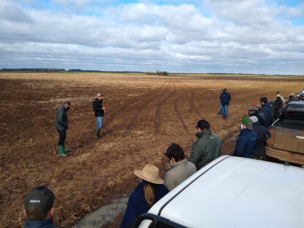 Técnicos do Irga de Alegrete participam do Roteiro Trigo na Várzea