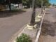 Mais pessoas estão transformando espaços públicos em pequenos jardins