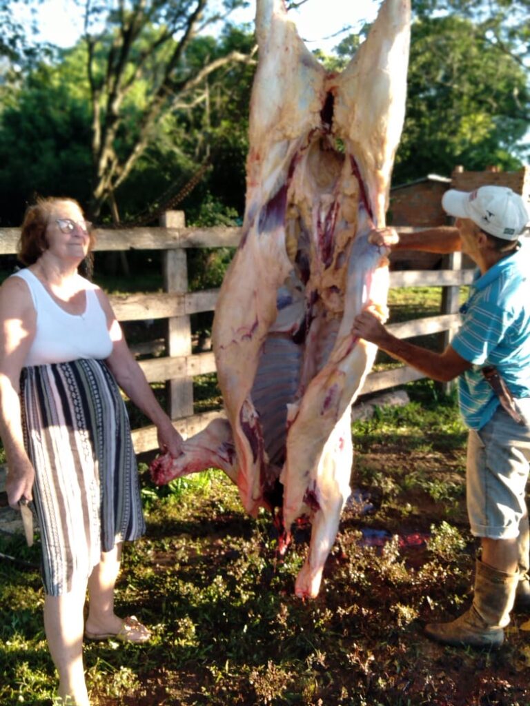 Matança de vaca em Alegrete