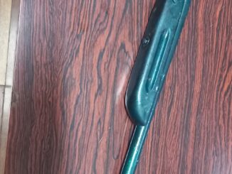 Porte ilegal de Arma da fogo