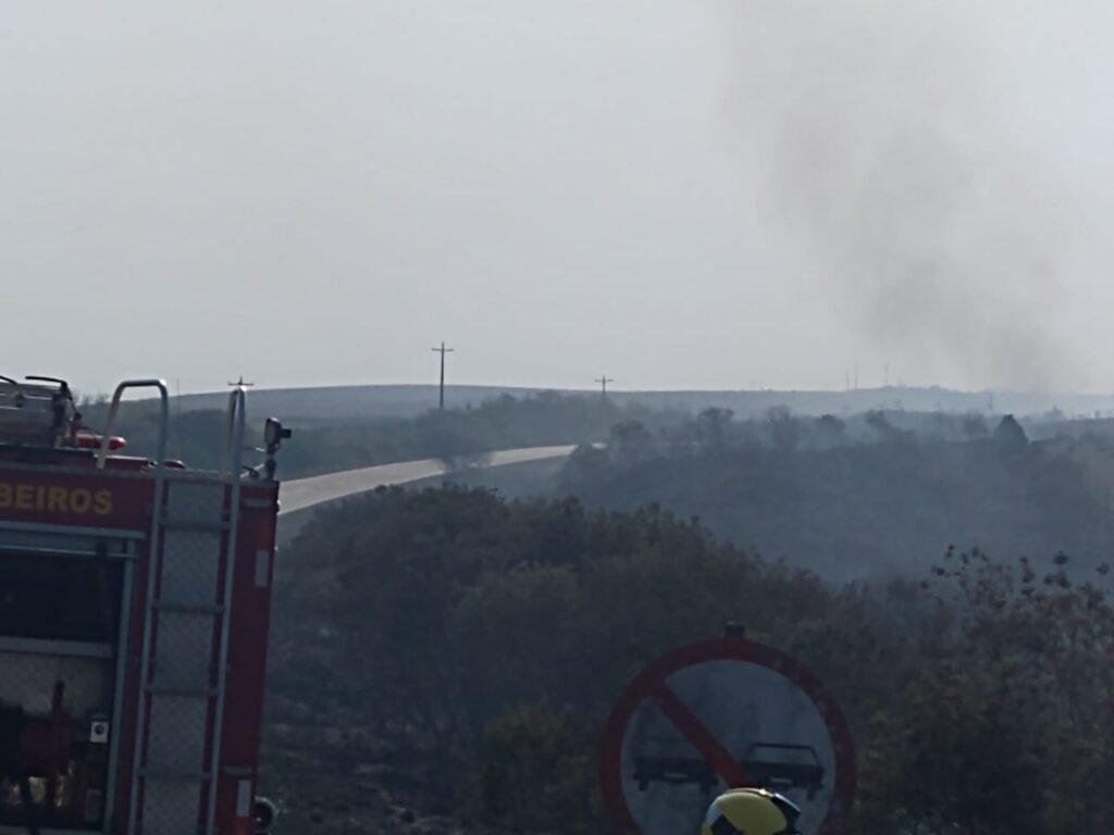 Fogo às margens da 290