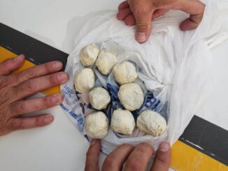 Apreensão de drogas