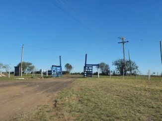Porteira na entrada faz do aeroporto de Alegrete o mais "raiz" do RS