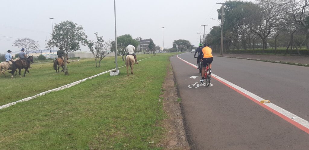 Cavalos na área urbana de Alegrete