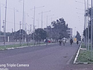 Cavalos na pista de eventos