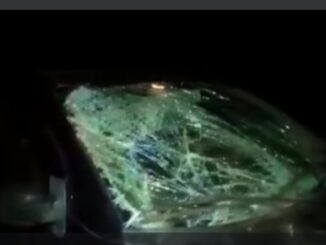 Animal na pista provoca grave acidente na BR 290