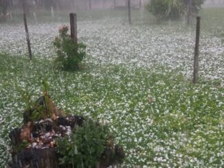 Chuva com granizo branqueou os campos em propriedade no Durasnal