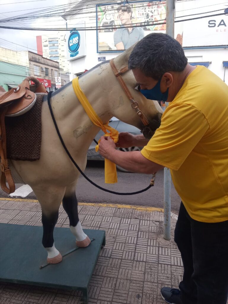 CVV de Alegrete - setembro amarelo