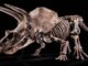 Esqueleto de dinossauro de 66 milhões de anos será leiloado