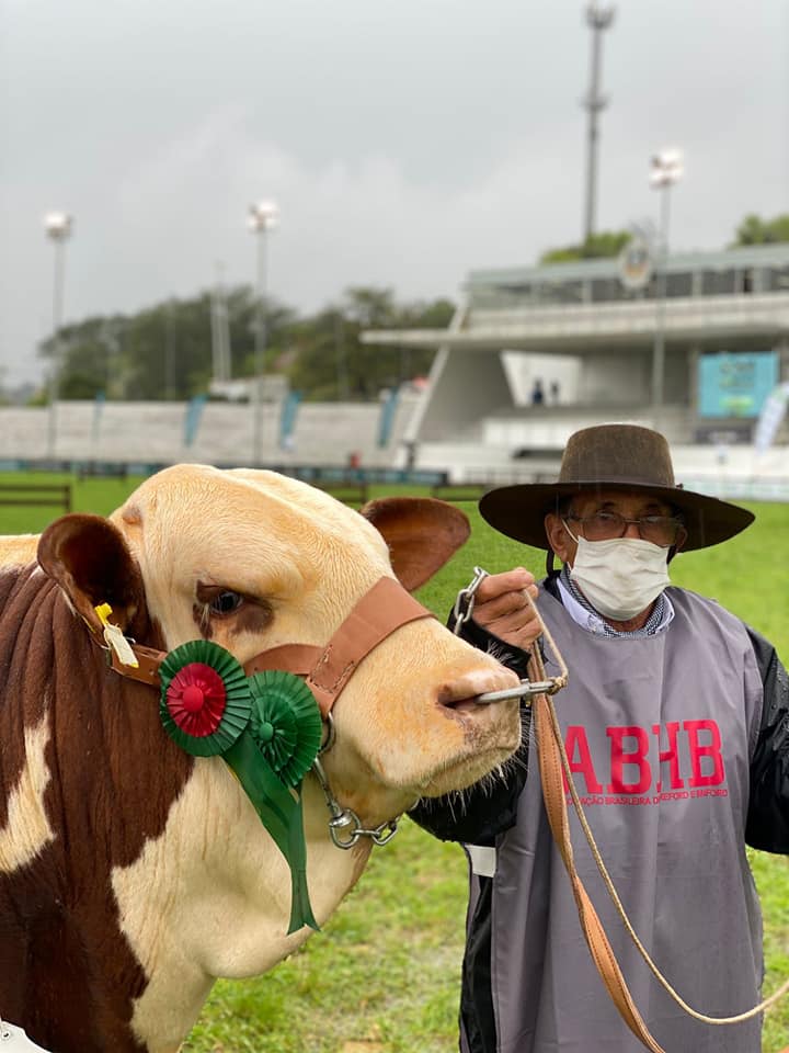 Braford da Fazenda Esperança foi destaque no Expointer