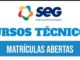 Seg Alegrete