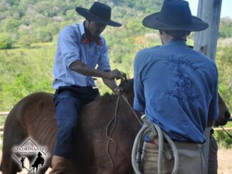 Lelé na montaria final que concedeu o 4º lugar