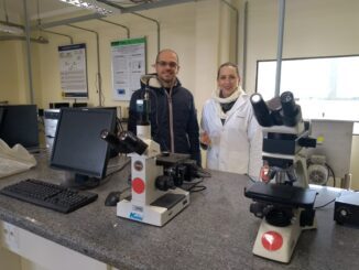 Professores realizam projeto que reaproveita casca de arroz
