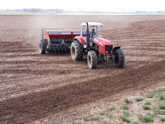 Plantio Agropecuária Santo Antônio