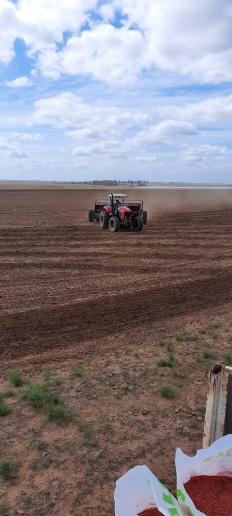 Plantio Agropecuária Santo Antônio