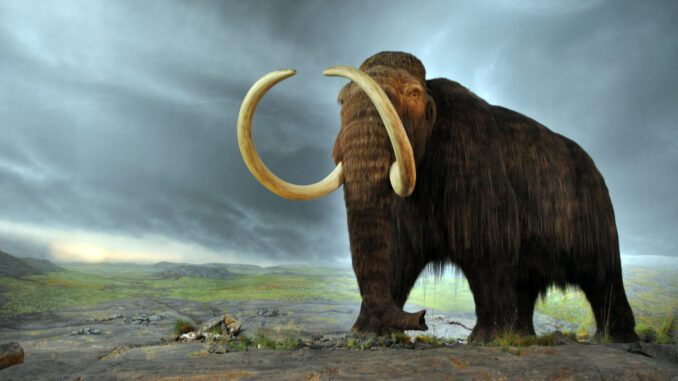 Deextinção: cientistas querem trazer espécies extintas de volta ao mundo