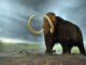 Deextinção: cientistas querem trazer espécies extintas de volta ao mundo