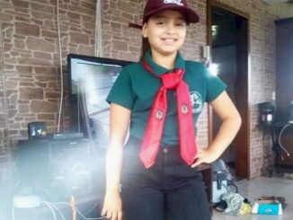 Menina morre após ser atingida por coice de égua em Santa Maria