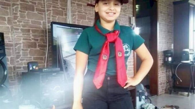 Menina morre após ser atingida por coice de égua em Santa Maria