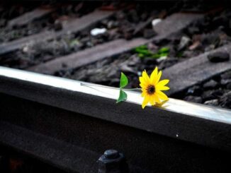 Setembro Amarelo