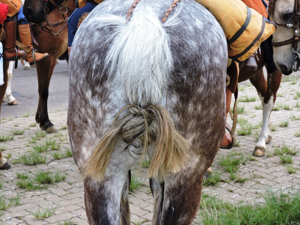 Cavalgada - 20 de Setembro - Alegrete