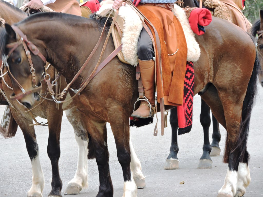 Cavalgada - 20 de Setembro - Alegrete