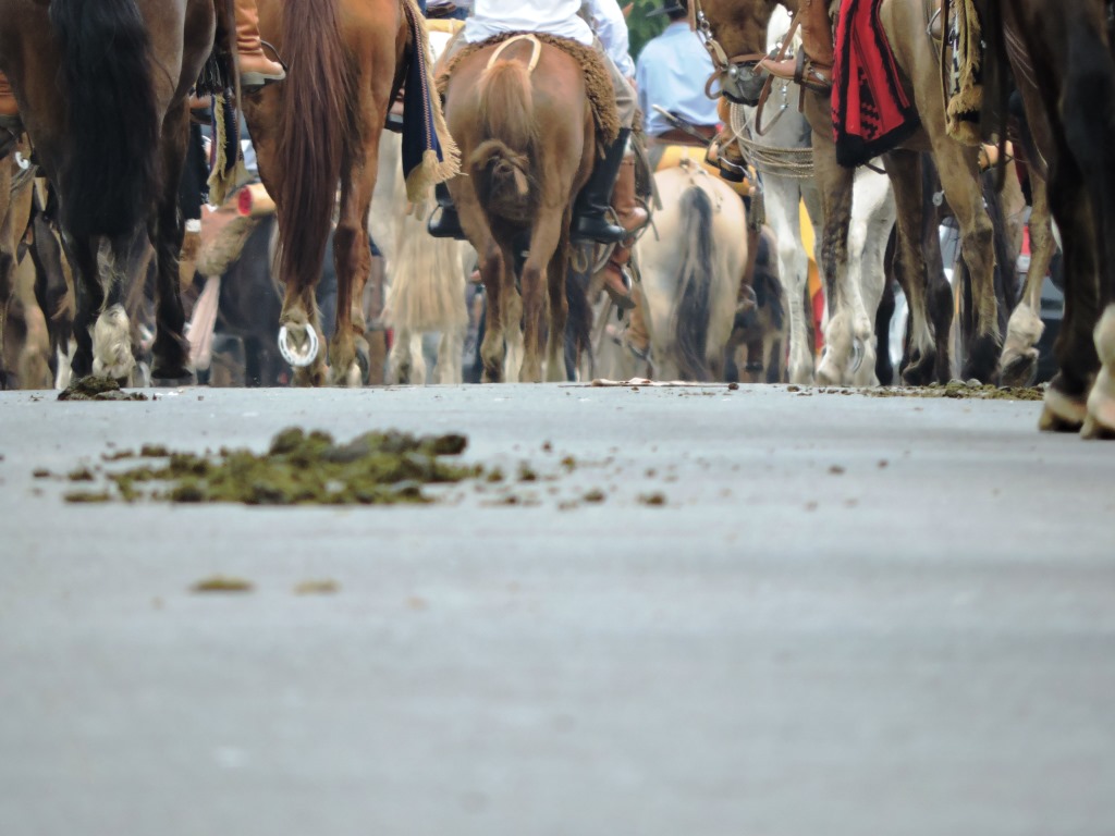 Cavalgada - 20 de Setembro - Alegrete