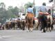 Cavalgada - 20 de Setembro - Alegrete