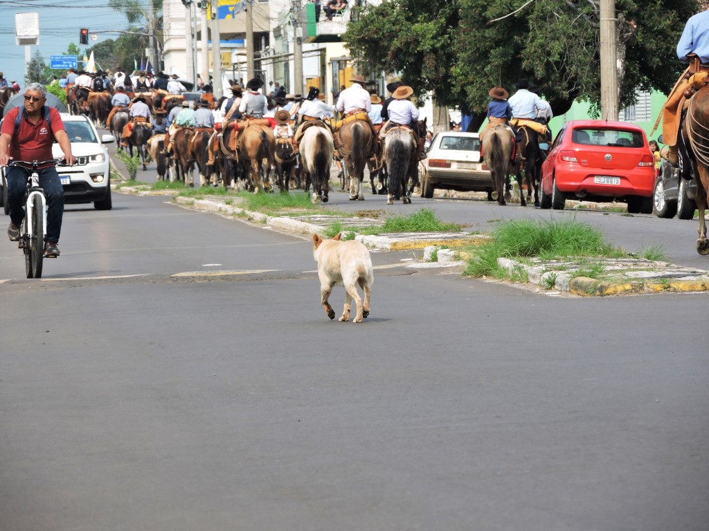 Cavalgada - 20 de Setembro - Alegrete