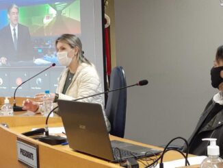 Deputada Fran apresentou o projeto na Câmara
