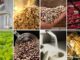 Seca no Brasil: o preço dos alimentos vai subir ainda mais