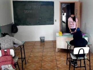 Sociedade Alegretense de Apoio a Infância e Juventude - SAAIA