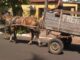 Alegrete realiza primeiro curso de formação de condutores de veículos de tração animal