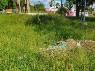 Com áreas críticas sem conservação, infraestrutura da cidade agoniza
