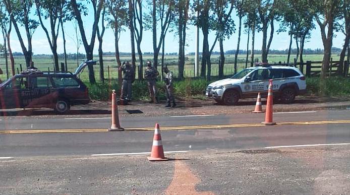 Com cães no porta-malas e arma de fogo, homem é preso na RSC 377