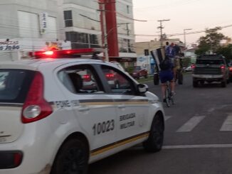 Denúncia de maus-tratos em cavalo mobiliza BM e OPAA