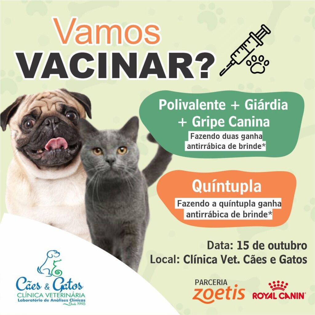 Participe da campanha de vacinação na Clínica Veterinária Cães e Gatos