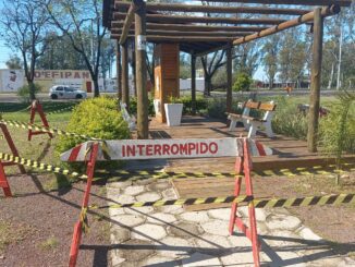 Enxame de abelhas provoca interdição do chimarródromo do Parque dos Patinhos