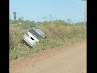 Toyota Hilux sai da estrada e fica entre a vegetação em Alegrete