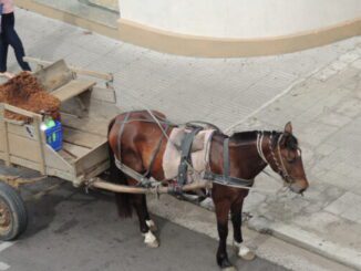 Carroças em Alegrete