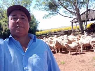 Produtor Cícero pondera acerca da valorização da lã