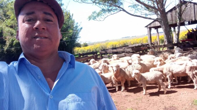 Produtor Cícero pondera acerca da valorização da lã Produtor Cícero pondera acerca da valorização da lã