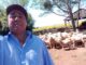 Produtor Cícero pondera acerca da valorização da lã