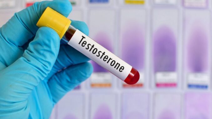 Testosterona em baixa pode explicar a falta de energia e desejo sexual Testosterona em baixa pode explicar a falta de energia e desejo sexual