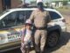 Menina que quer ser policial quando crescer, aborda viatura para tirar foto com PM